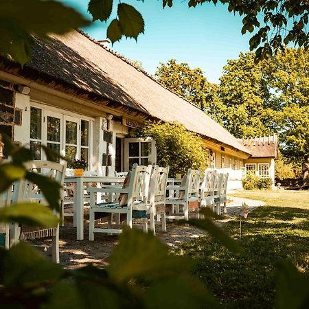 Vanatoa Taluhotell Koguva Kültér fotó