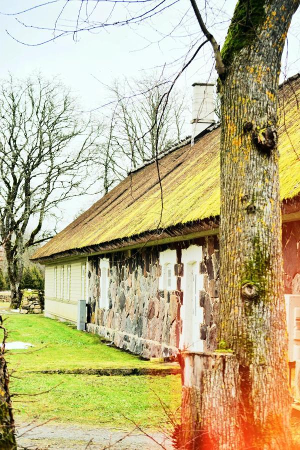 Vanatoa Taluhotell Koguva Kültér fotó