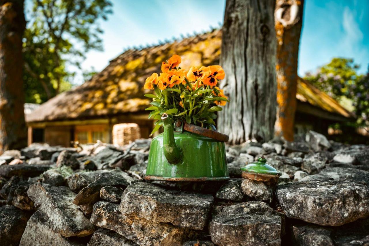 Vanatoa Taluhotell Koguva Kültér fotó