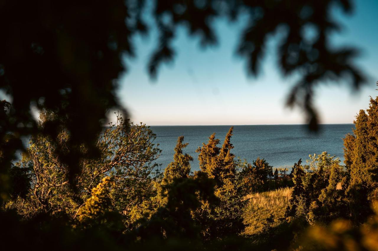 Vanatoa Taluhotell Koguva Kültér fotó